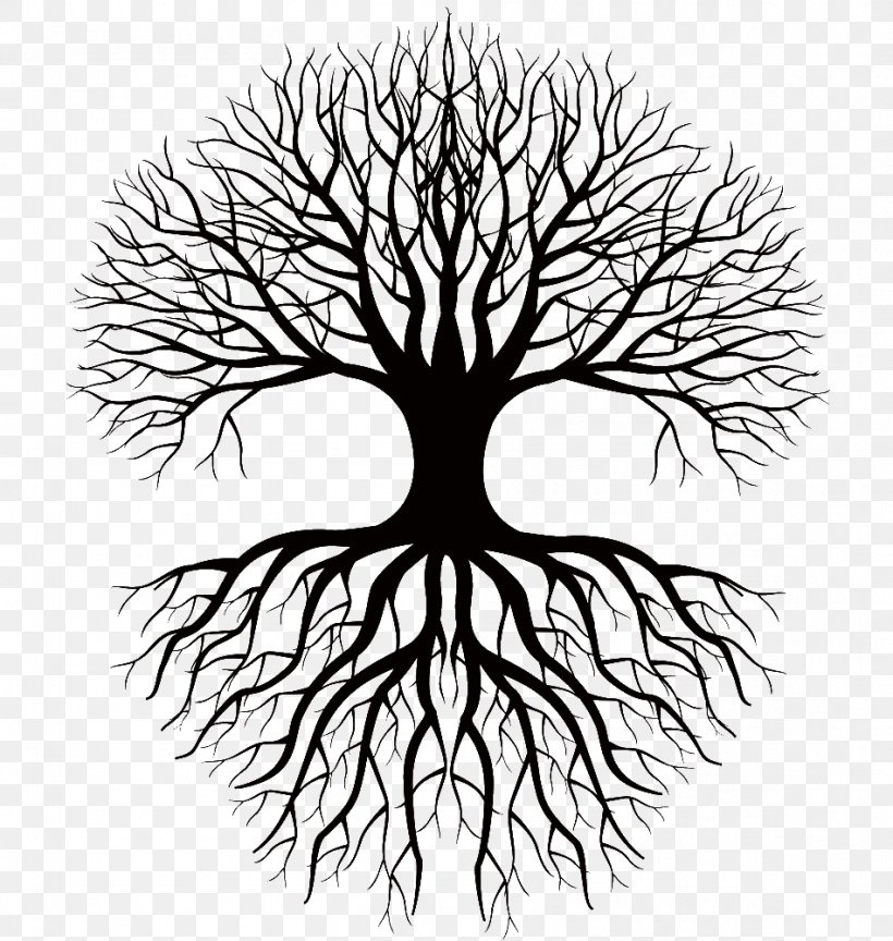 Coloring Book Drawing Root Tree Clip Art, PNG, 949x1000px, Coloring Book, Artwork, Black And White, Branch, Celtic Sacred Trees Download Free