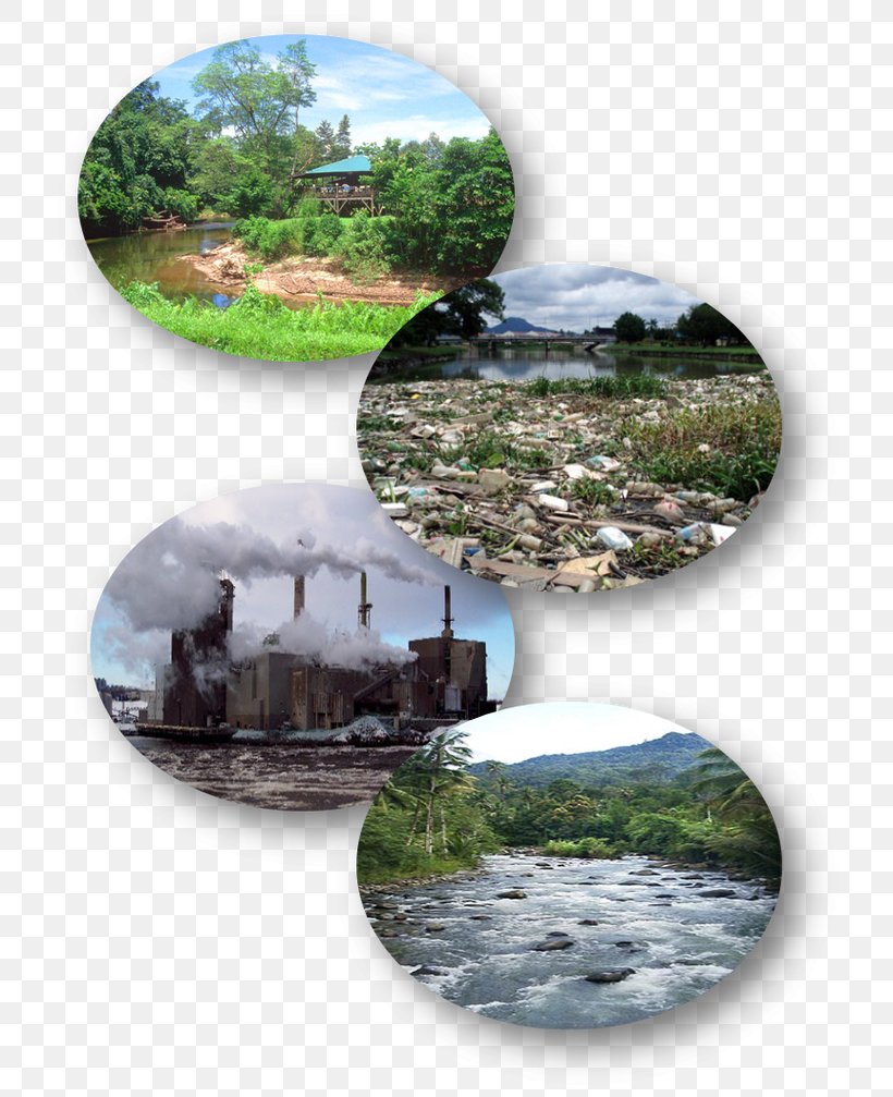 Ecosystem Water Resources Pollution Natural Environment Life, PNG, 740x1007px, Ecosystem, Copenhagen, Denmark, Endangered Species, Face Download Free