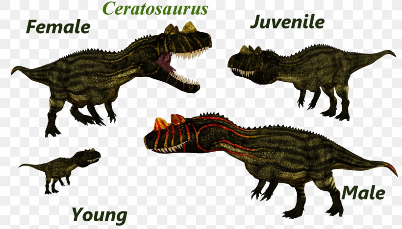 Tyrannosaurus Zoo Tycoon 2 Carnotaurus Primal Carnage Utahraptor, PNG, 1241x709px, Tyrannosaurus, Animal, Carnivoran, Carnotaurus, Dinosaur Download Free