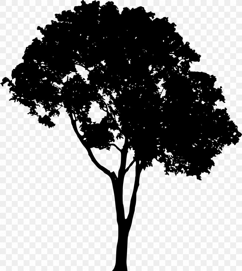 Vector Graphics Clip Art Tree Silhouette, PNG, 1788x2000px, Tree, Art, Blackandwhite, Botany, Branch Download Free