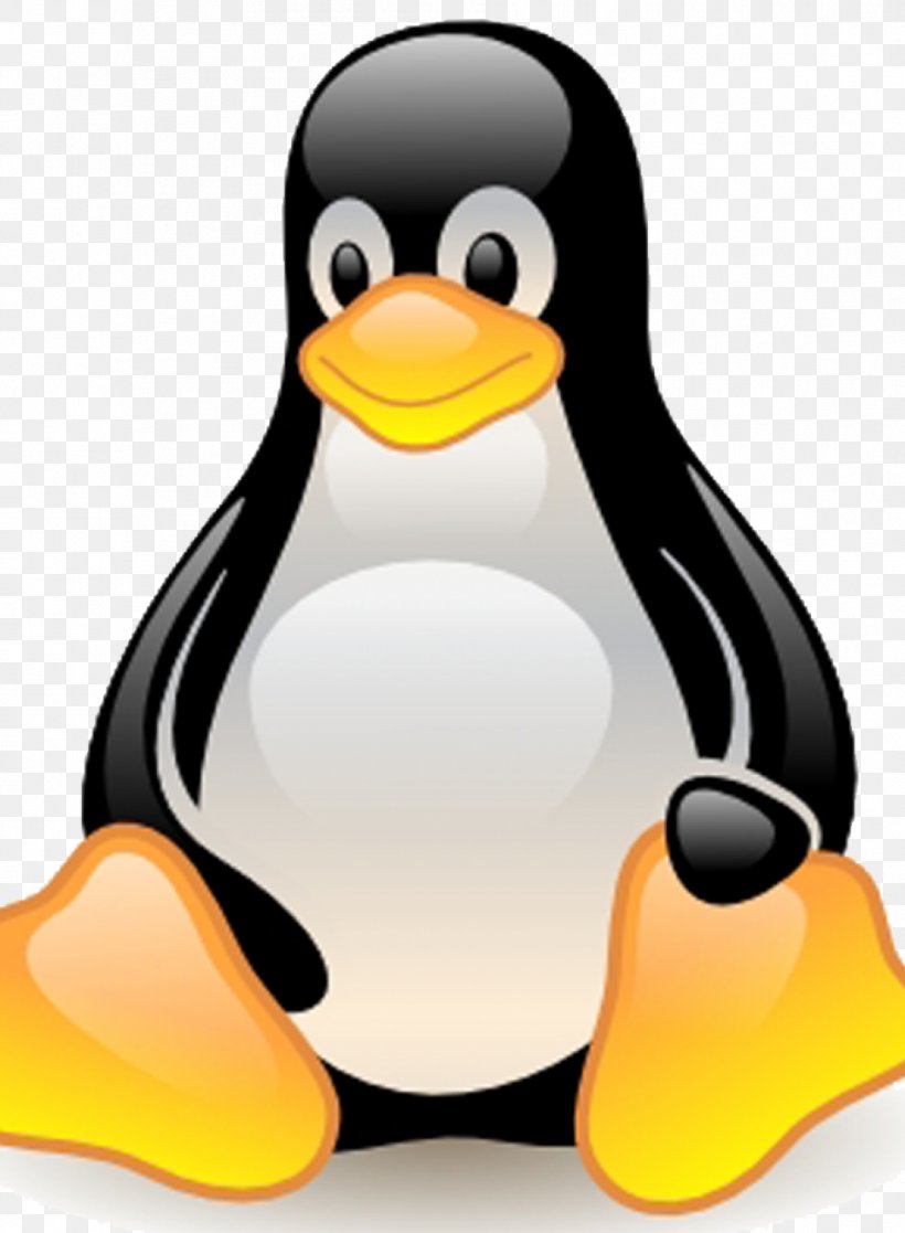 Linux Computer Software Operating Systems Windows Server, PNG, 954x1300px, Linux, Arch Linux, Beak, Bird, Computer Servers Download Free