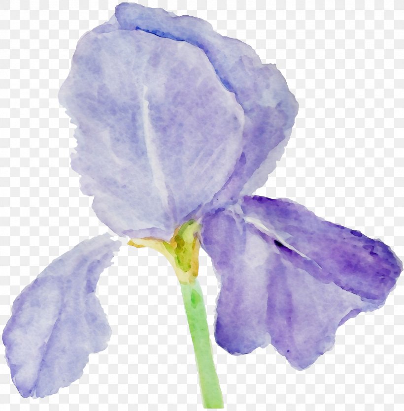 Purple Watercolor Flower, PNG, 1766x1800px, Watercolor, Cut Flowers, Family, Flower, Iris Download Free