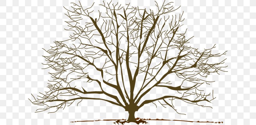 Tree Winter Branch Pine Clip Art, PNG, 640x400px, Tree, Black And White, Blog, Branch, Flora Download Free