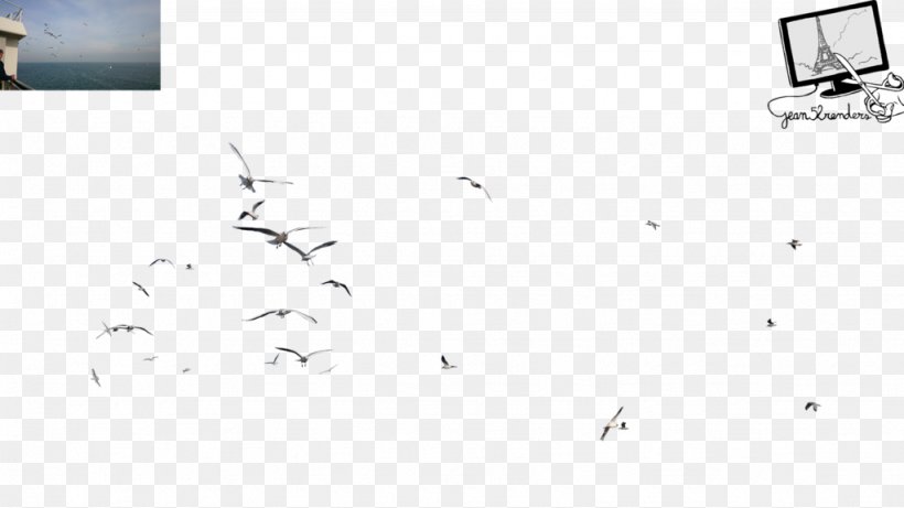 Gulls Bird, PNG, 1024x576px, Gulls, Area, Art, Beak, Bird Download Free