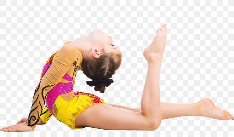 Gymnastics Photography Image Shutterstock, PNG, 825x483px, Watercolor, Cartoon, Flower, Frame, Heart Download Free