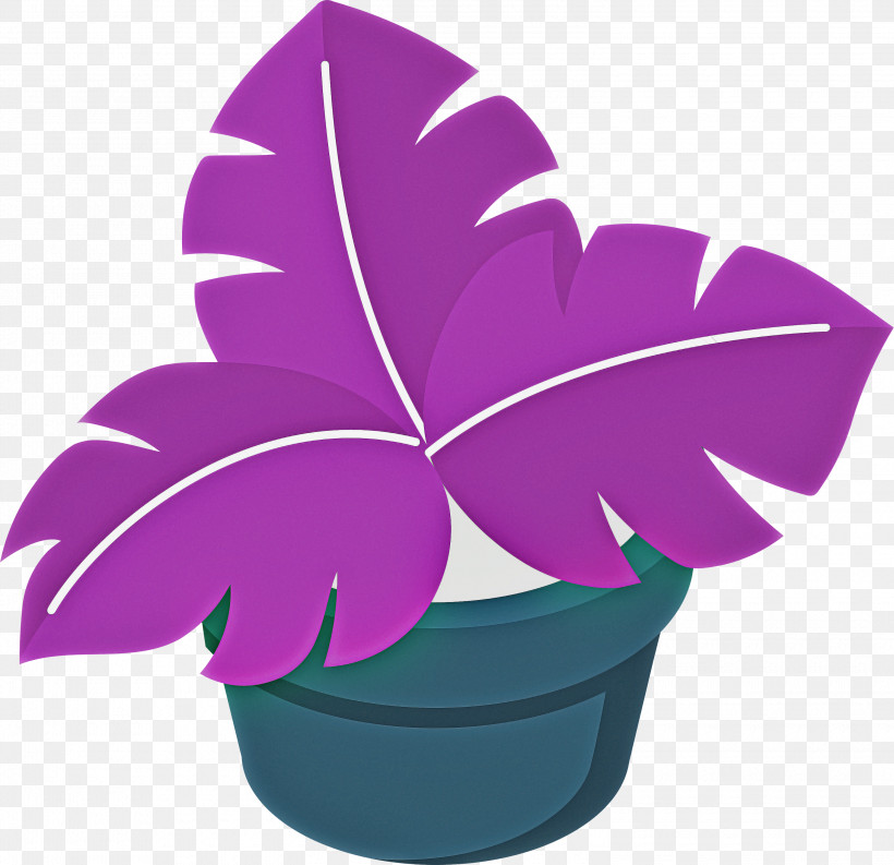 Leaf Plant Stem Flowerpot Petal Houseplant, PNG, 3000x2902px, Leaf, Biology, Branch, Chinese Sweet Plum, Chlorophytum Comosum Download Free
