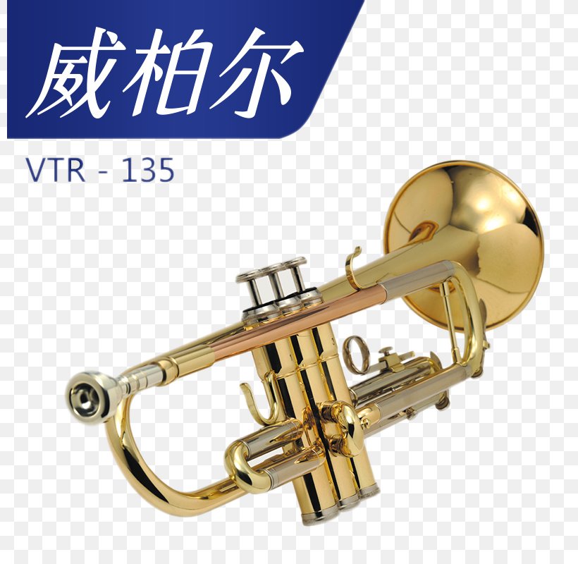 Trumpet Alto Saxophone Musical Instrument Tenor Saxophone, PNG, 800x800px, Watercolor, Cartoon, Flower, Frame, Heart Download Free