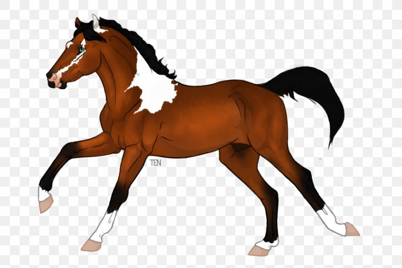 Appaloosa Chestnut Saddle Foal Pony, PNG, 900x600px, Appaloosa, Animal Figure, Bridle, Chestnut, Colt Download Free