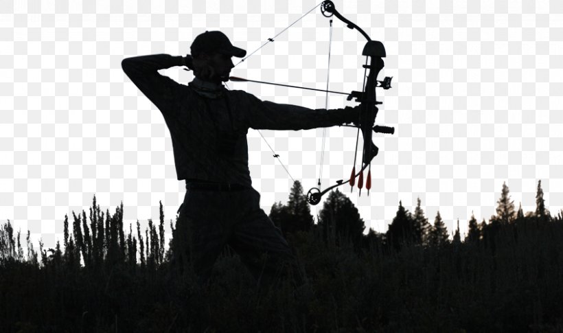 Archery Bow And Arrow Bowhunting Deer Hunting, PNG, 845x500px, Archery, Bow, Bow And Arrow, Bowhunting, Compound Bows Download Free