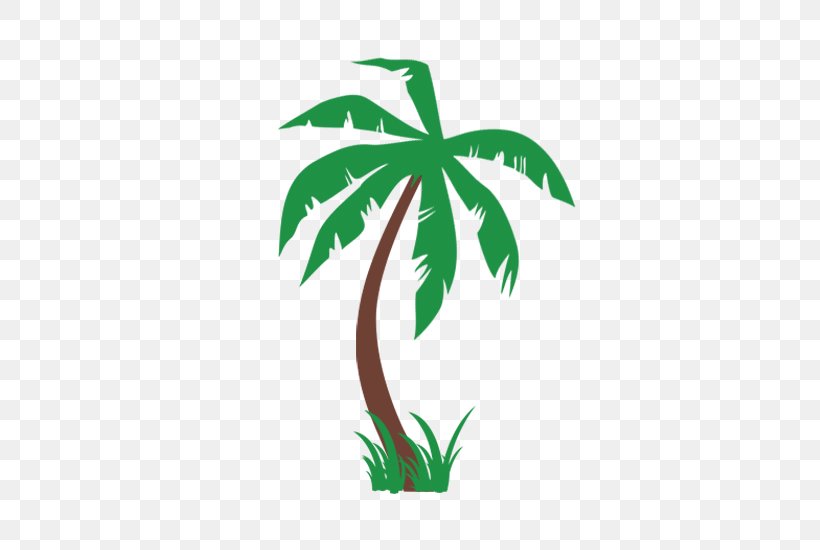 Arecaceae Tree Date Palm Coconut Sabal Palm, PNG, 800x550px, Arecaceae, Arecales, Coconut, Date Palm, Date Palms Download Free