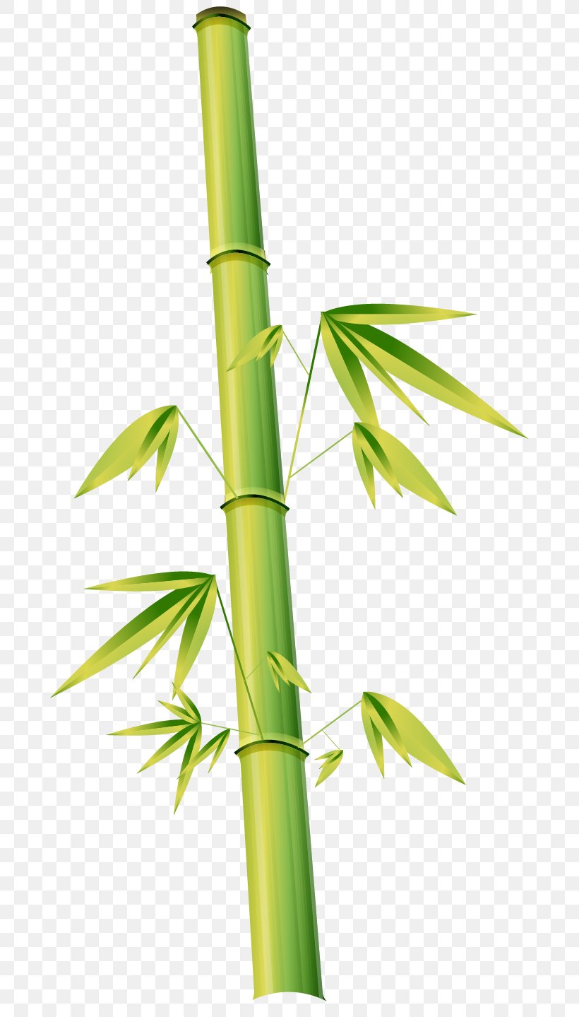 Bamboo Euclidean Vector Cartoon Illustration, PNG, 677x1439px, Bamboo, Cartoon, Drawing, Energy, Graphic Arts Download Free