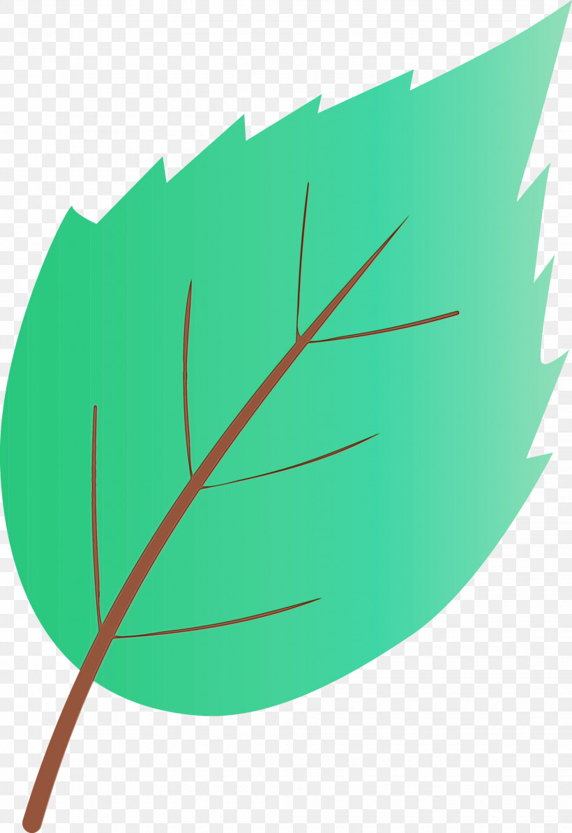 Leaf Green Plant Tree, PNG, 2060x3000px, Watercolor Leaf, Green, Leaf, Paint, Plant Download Free