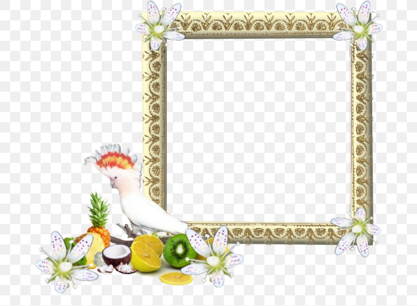 Picture Frames Preview Teth, PNG, 711x601px, Picture Frames, Bird, Border, Chicken, Flora Download Free