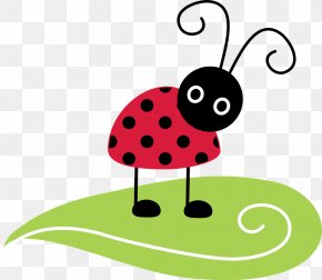 Ladybird Insect Animal Clip Art, PNG, 1529x1437px, Ladybird, Animal ...