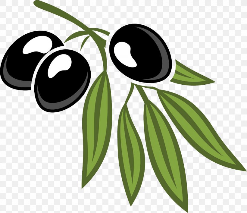 Olive Leaf Cartoon Royalty-free, PNG, 1000x863px, Olive, Black And White, Cartoon, Drawing, Flowering Plant Download Free