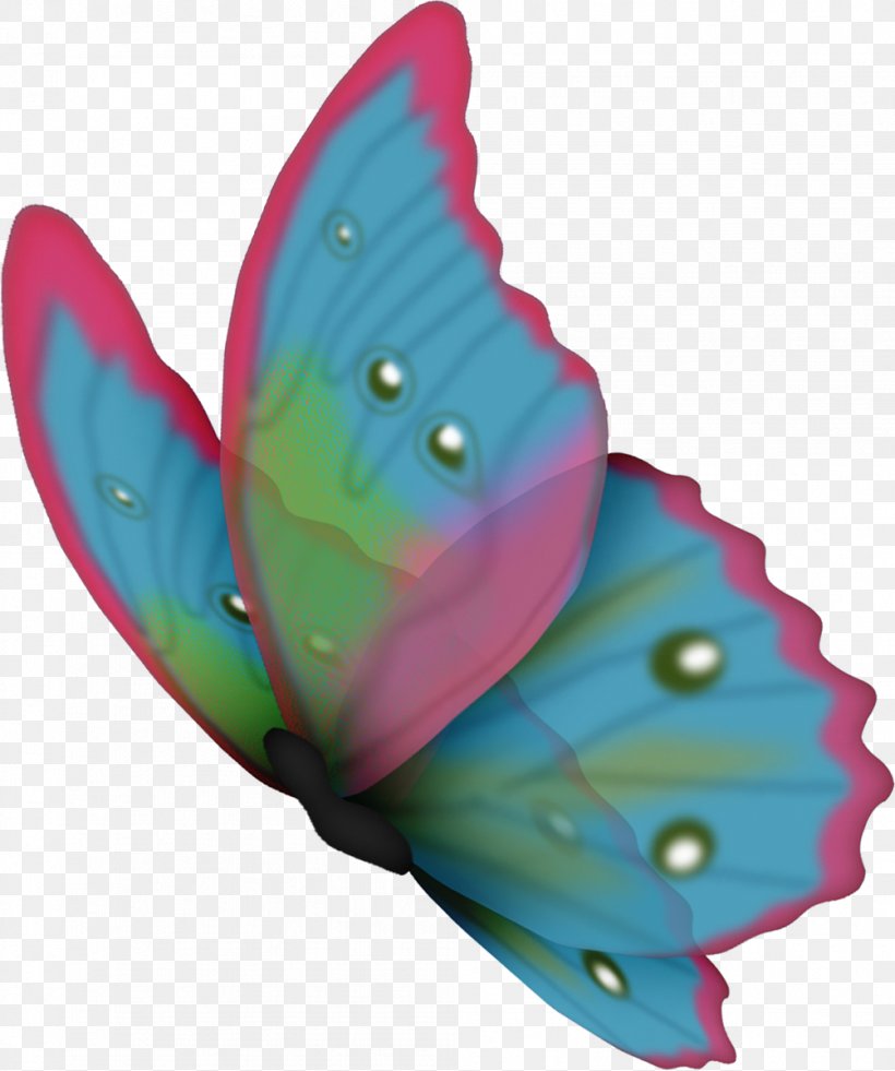 Butterfly Color, PNG, 1003x1200px, Butterfly, Caterpillar, Color, Eye, Green Download Free