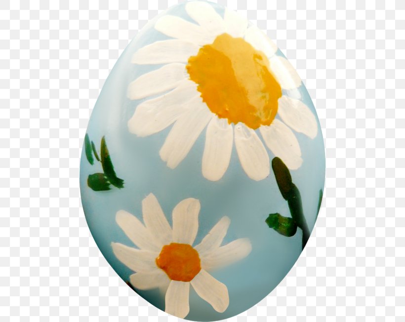 Egg Painting, PNG, 500x652px, Egg, Chicken Egg, Color, Flower, Google Images Download Free
