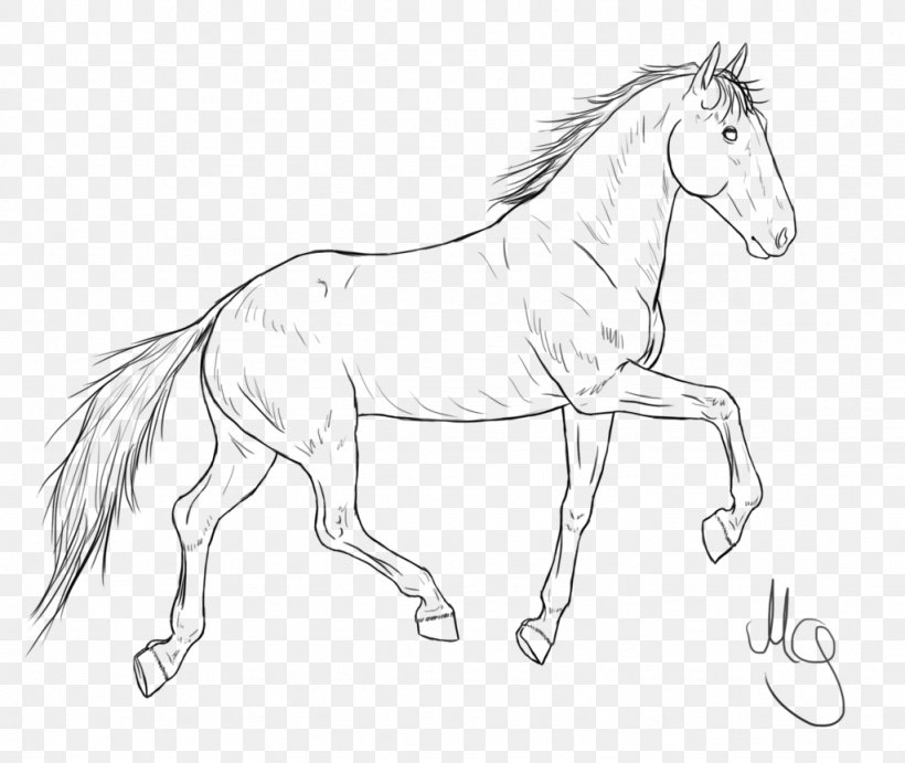 Mane Foal Bridle Mustang Stallion, PNG, 1024x863px, Mane, Animal Figure, Artwork, Black And White, Bridle Download Free
