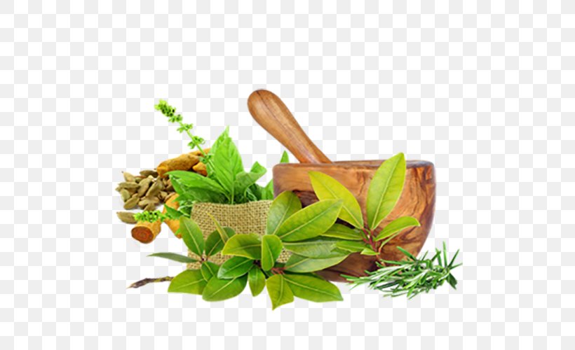 Ayurveda: Die Besten Tipps Aus Dem Jahrtausendealten Naturheilsystem Des Maharishi Ayurveda Medicine Ayurvedic Healing Panchakarma, PNG, 500x500px, Ayurveda, Asthma, Ayurvedic Healing, Chronic Condition, Dosha Download Free