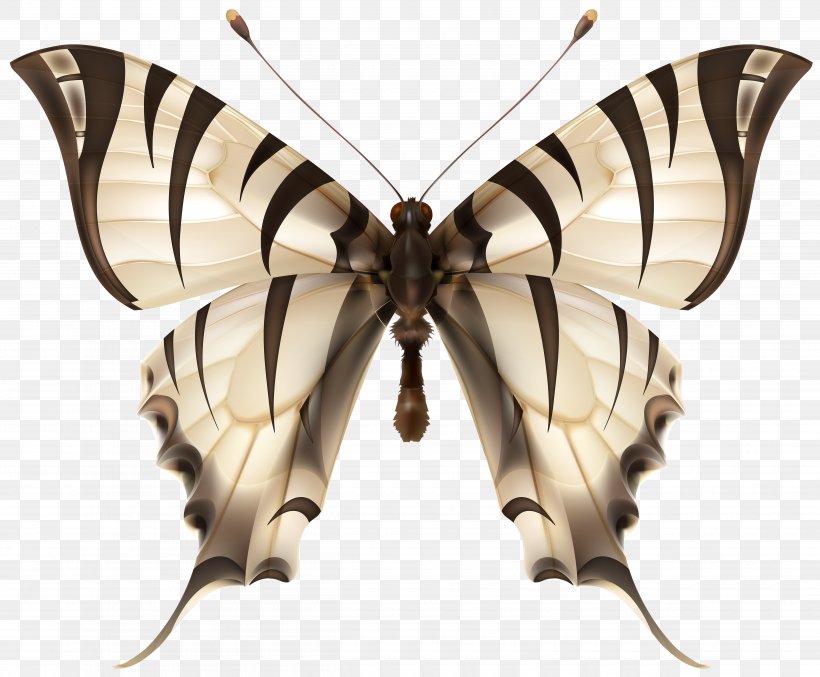 Butterfly Insect Tiger Clip Art, PNG, 5000x4130px, Butterfly, Arthropod, Bombycidae, Brush Footed Butterfly, Butterflies And Moths Download Free