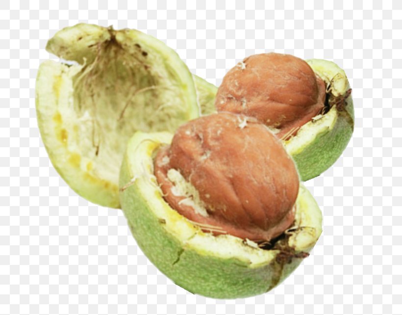 Walnut Peel, PNG, 742x642px, Nut, Designer, Food, Fruit, Google Images Download Free