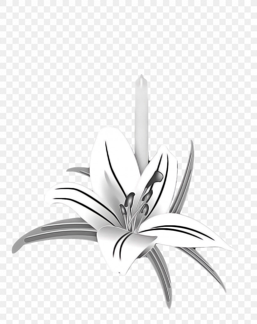 Black And White Flower, PNG, 1076x1356px, Black And White, Flower Download Free