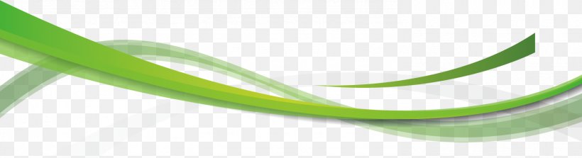 Brand Green, PNG, 1488x405px, Brand, Grass, Green Download Free