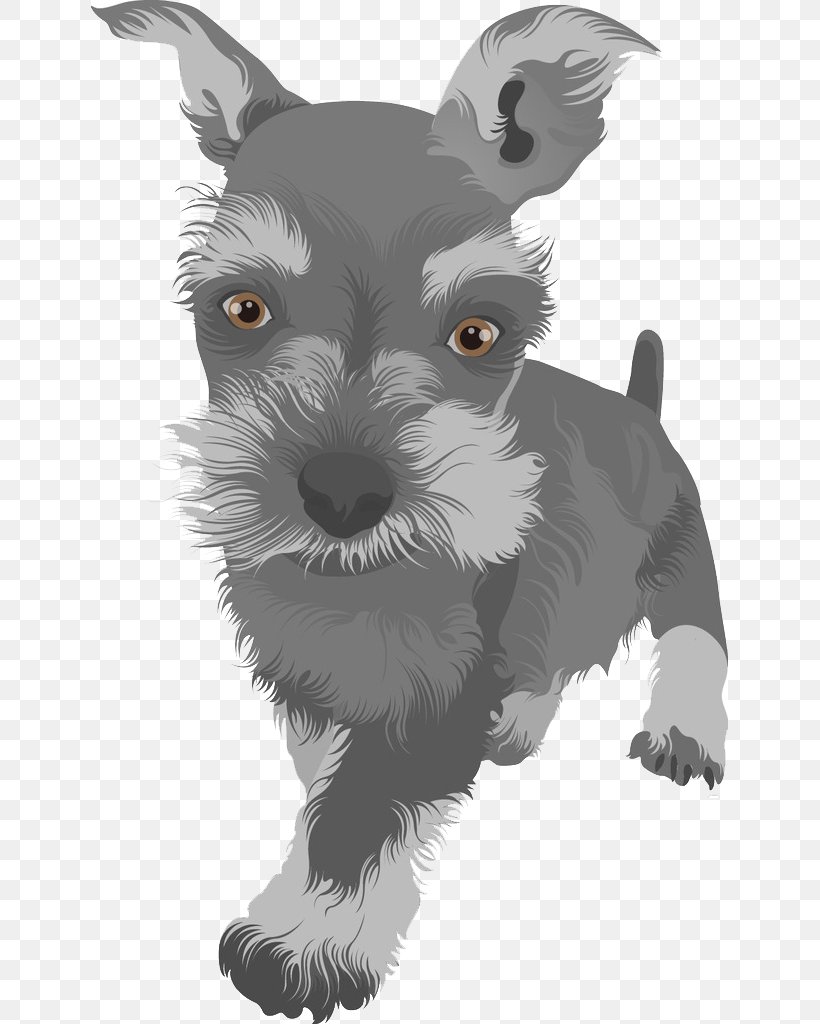 Scottish Terrier Boston Terrier Standard Schnauzer Yorkshire Terrier Puppy, PNG, 637x1024px, Scottish Terrier, Animal, Black And White, Boston Terrier, Carnivoran Download Free