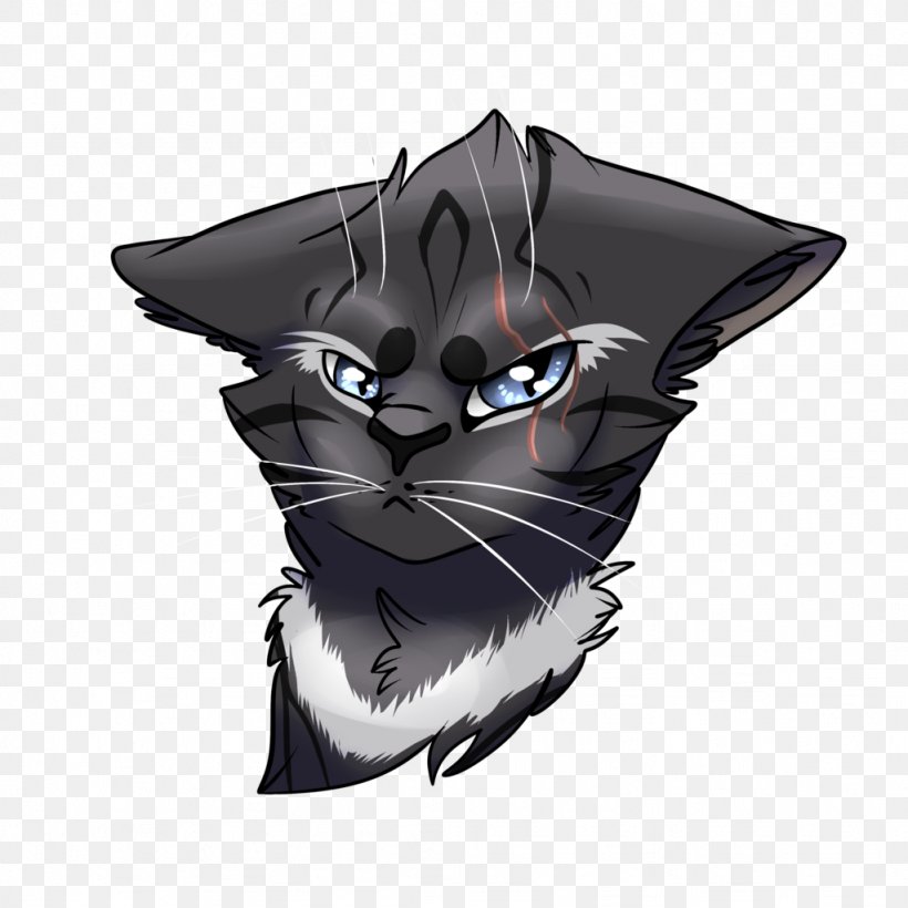 Whiskers Cat Snout Character, PNG, 1024x1024px, Whiskers, Black, Black Cat, Black M, Carnivoran Download Free