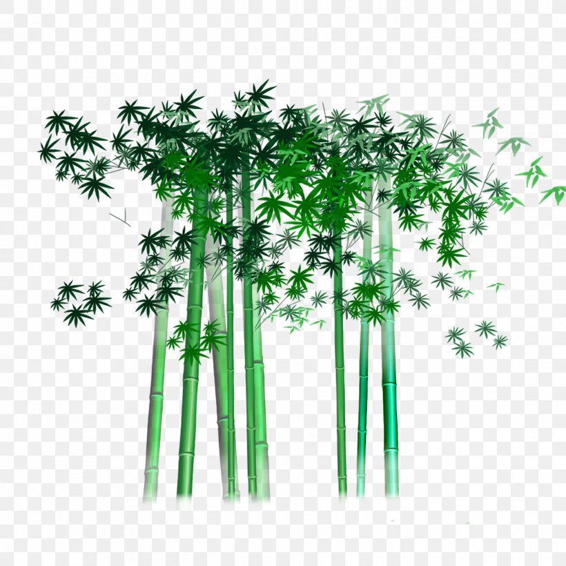 Bambusa Multiplex Bamboo Bamboe, PNG, 1417x1417px, Bambusa Multiplex, Asparagus Setaceus, Bamboe, Bamboo, Bamboo Painting Download Free