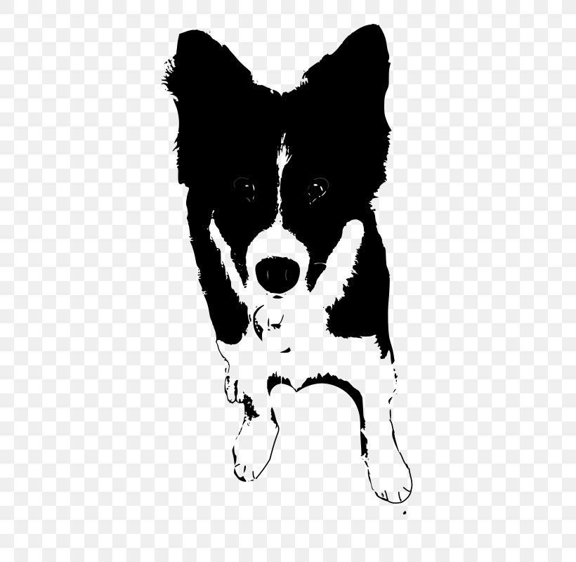 Dog Breed Border Collie Puppy St. Bernard Drawing, PNG, 566x800px, Dog Breed, Art, Black And White, Border Collie, Breed Download Free