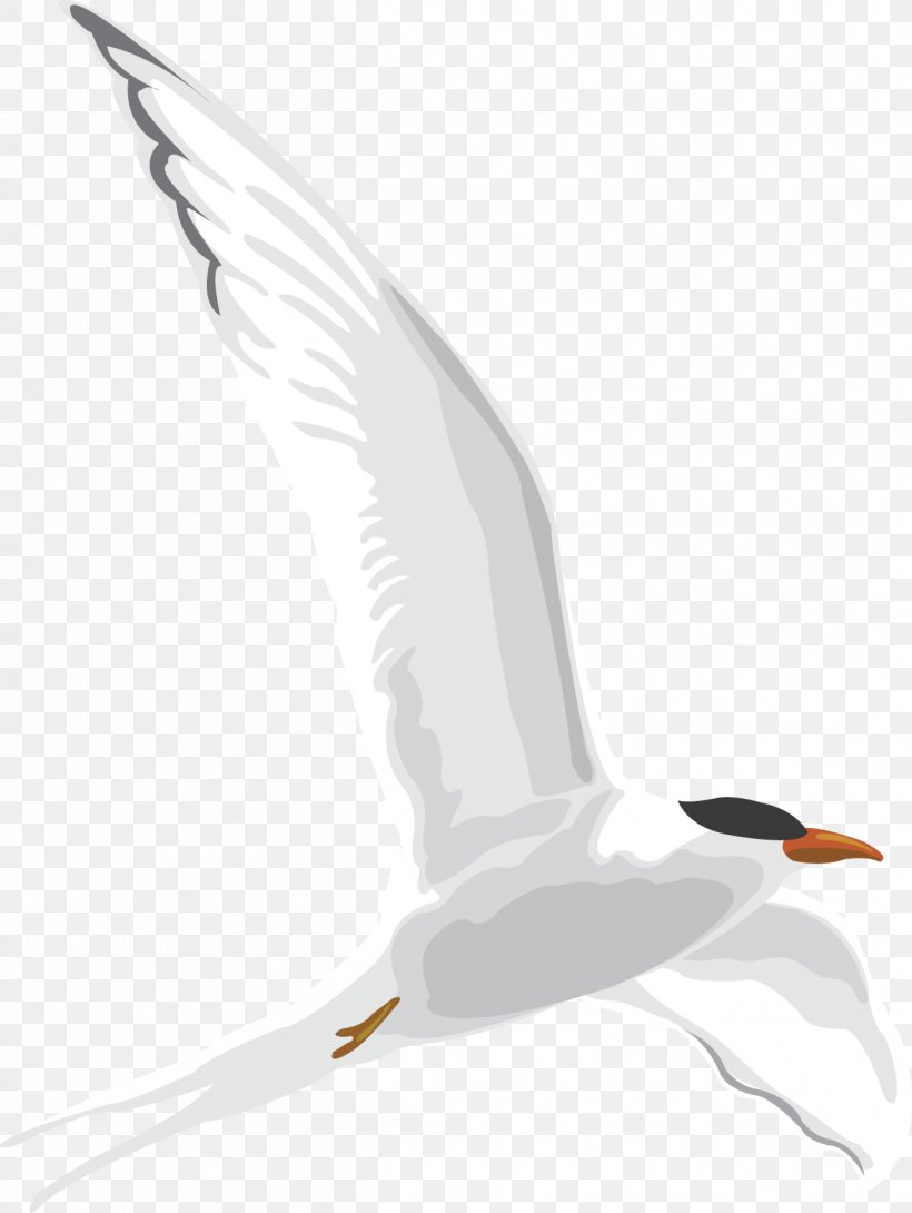 European Herring Gull Gulls Image Cartoon Drawing, PNG, 1253x1667px, European Herring Gull, Animal, Beak, Bird, Cartoon Download Free