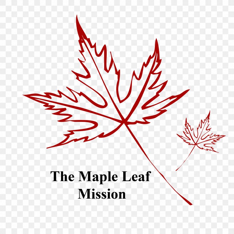 Maple Leaf Bar Design Photographer, PNG, 1920x1920px, Maple Leaf, Area, Flower, Flowering Plant, Leaf Download Free