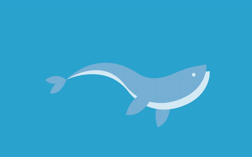 Shark Marine Mammal Dolphin Fish Cetacea, PNG, 2560x1600px, Shark, Azure, Beak, Blue, Cartilaginous Fish Download Free