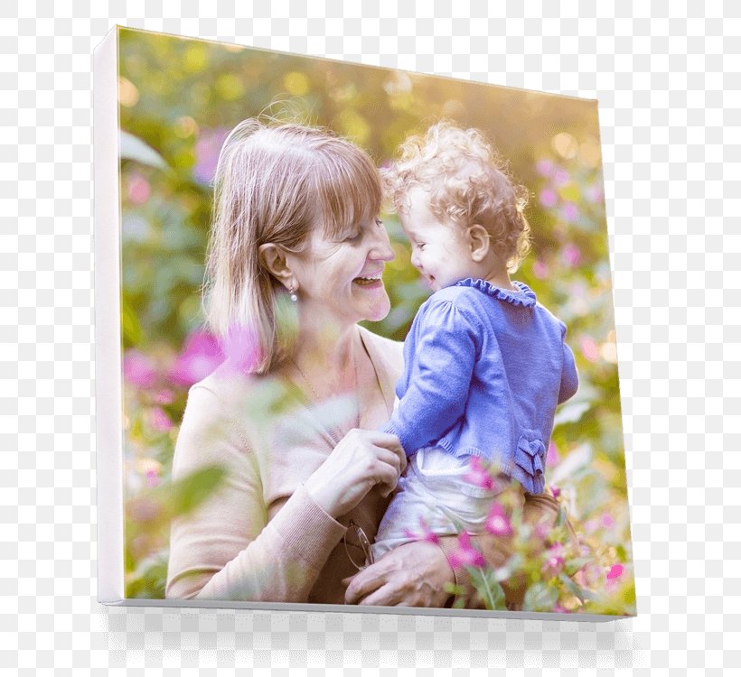 Toddler Picture Frames Human Behavior Friendship, PNG, 750x750px, Toddler, Behavior, Child, Daughter, Flower Download Free
