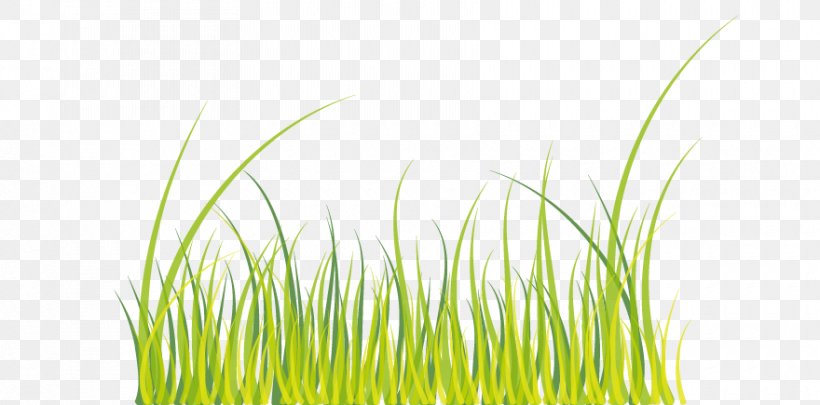 Wheatgrass Green, PNG, 880x435px, Wheatgrass, Grass, Grass Family, Green, Meadow Download Free