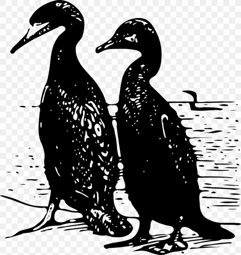 Cormorant Bird Duck Clip Art, PNG, 1210x1280px, Cormorant, Beak, Bird, Bird Of Prey, Black And White Download Free