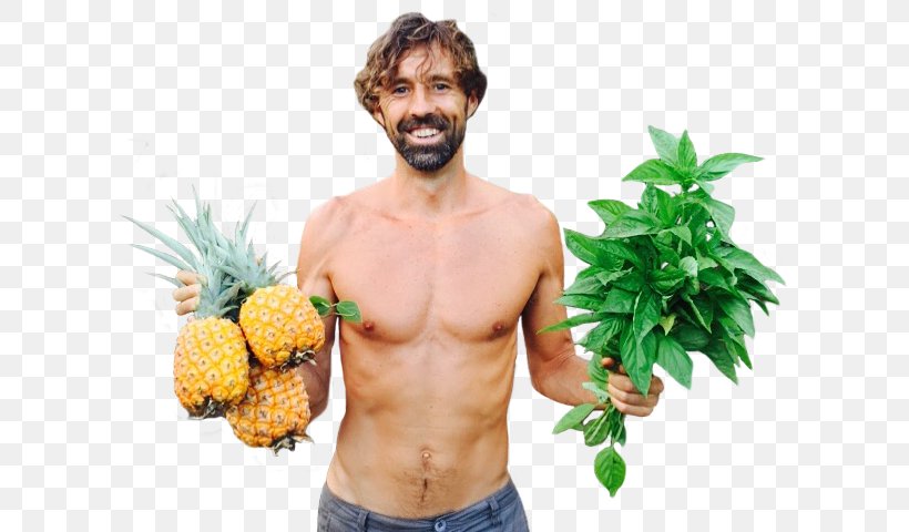 Daniel McDonald Pineapple Raw Foodism Fruitarianism Nutrition, PNG, 603x480px, Pineapple, Ananas, Author, Barechestedness, Bromeliaceae Download Free