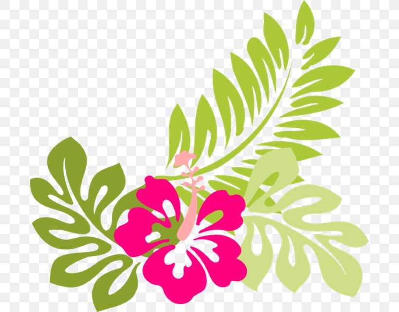Hibiscus Alyogyne Huegelii Luau Clip Art, PNG, 696x640px, Hibiscus, Alyogyne Huegelii, Artwork, Blog, Branch Download Free