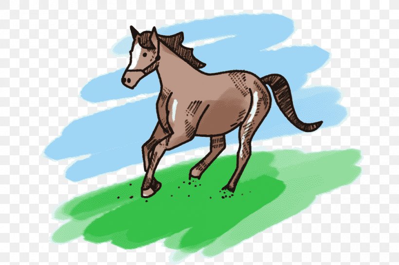 Mule Foal Mustang Stallion Pony, PNG, 1000x666px, Mule, Bridle, Cartoon, Colt, Donkey Download Free