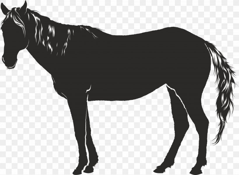 Mule Horse Clip Art, PNG, 4000x2934px, Mule, Bit, Black And White, Bridle, Colt Download Free