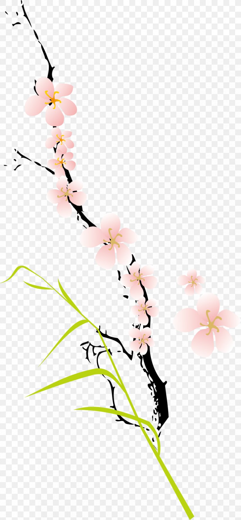 Peach Blossoms Clip Art, PNG, 825x1780px, Peach, Area, Art, Branch, Flower Download Free