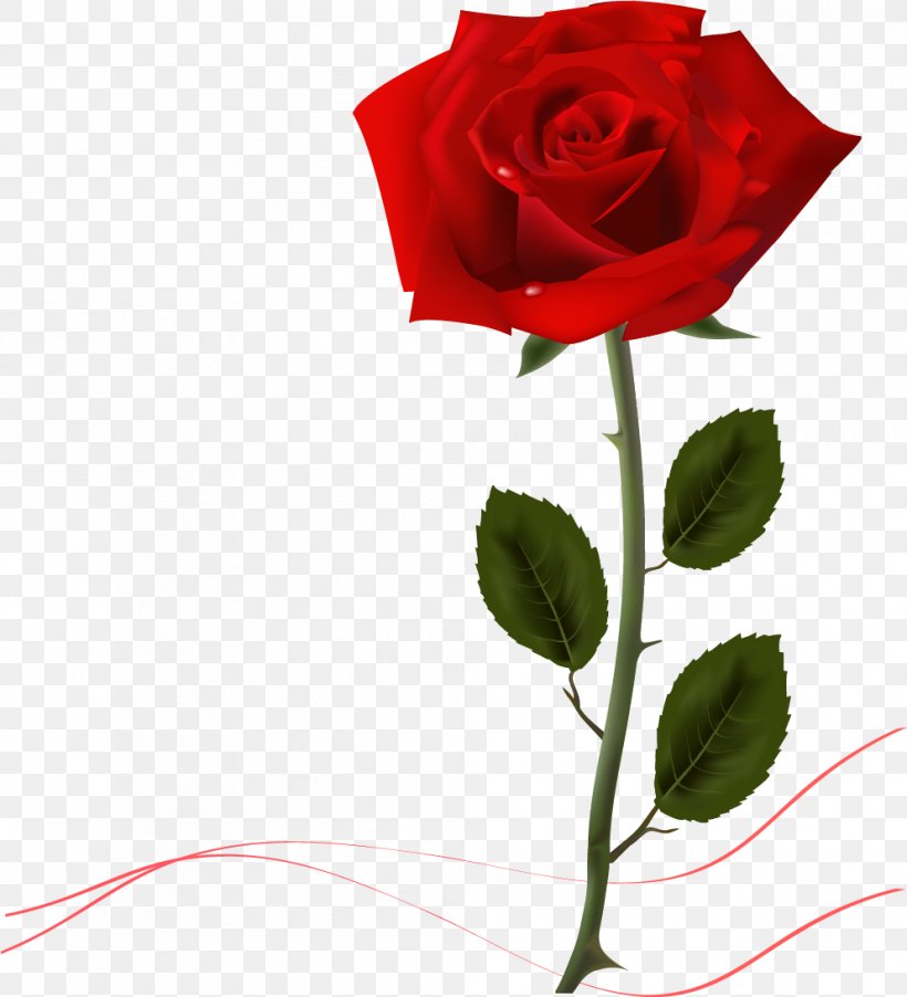 Rose Desktop Wallpaper Clip Art, PNG, 993x1093px, Rose, China Rose, Color, Cut Flowers, Flower Download Free