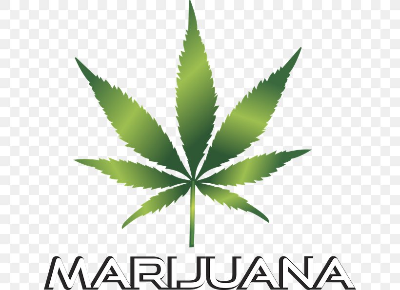 Adult Use Of Marijuana Act Medical Cannabis Clip Art, PNG, 640x595px, Adult Use Of Marijuana Act, Blunt, Cannabis, Cannabis Smoking, Cannabis Social Club Download Free