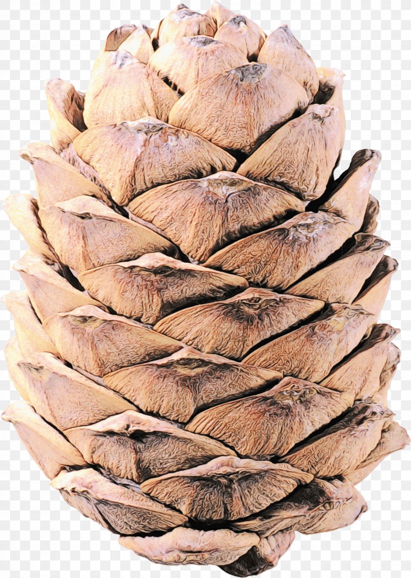 Family Tree Background, PNG, 1854x2612px, Watercolor, Artichoke, Conifer, Conifer Cone, Material Download Free