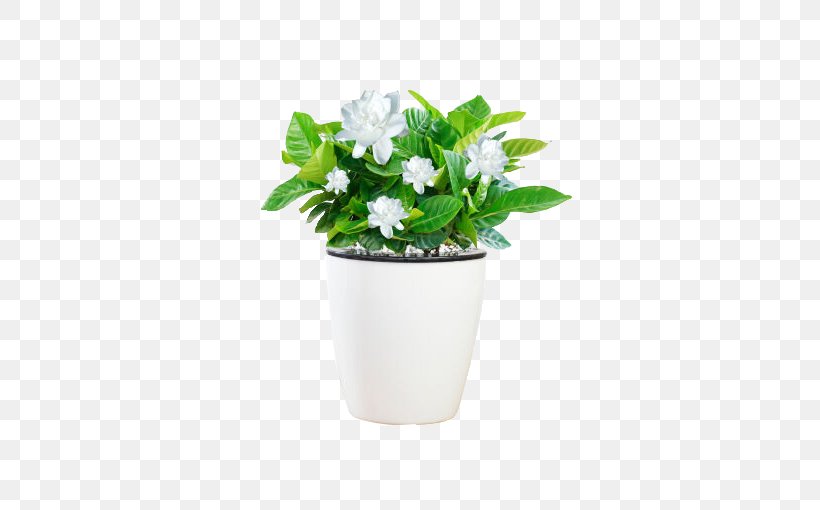 Grow Light Houseplant Light-emitting Diode, PNG, 510x510px, Light, Artificial Flower, Bonsai, Cut Flowers, Electric Light Download Free
