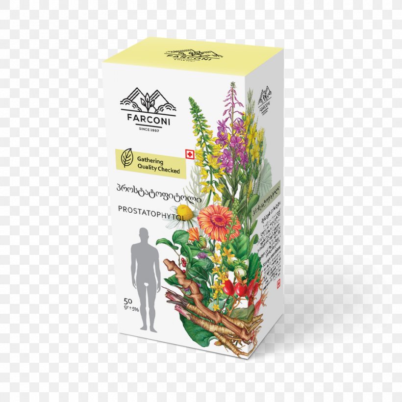 Medicinal Plants Herb Bay Laurel Medicine Floral Design, PNG, 960x960px, Medicinal Plants, Bay Laurel, Cut Flowers, Flora, Floral Design Download Free