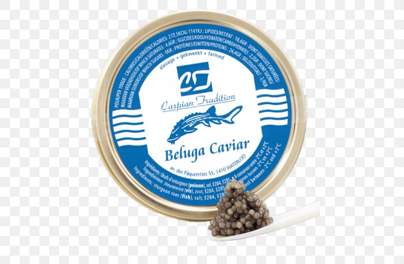 Beluga Caviar Ossetra Siberian Sturgeon, PNG, 480x537px, Caviar, Albinism, Beluga, Beluga Caviar, Chinese Sturgeon Download Free