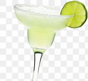 Cocktail Garnish Margarita Martini Gimlet, PNG, 1584x2397px, Cocktail ...