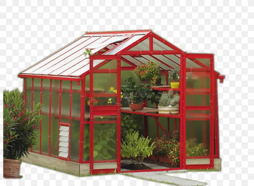 Greenhouse Shed, PNG, 800x600px, Greenhouse, Outdoor Structure, Shed Download Free